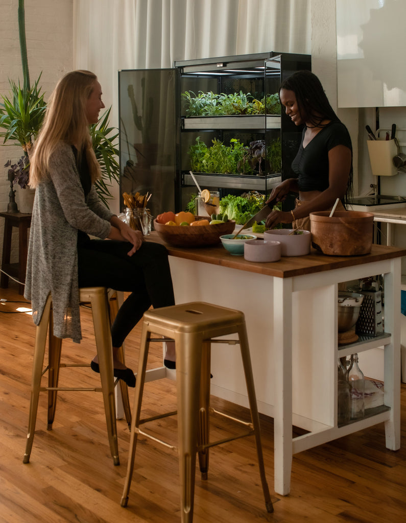 Farmshelf is a vertical indoor farming and growing system that is small enough to fit in any room of your home, and powerful enough to feed your family.